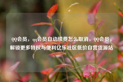 QQ会员	，qq会员自动续费怎么取消，QQ会员，解锁更多特权与便利亿乐社区低价自营货源站  第1张