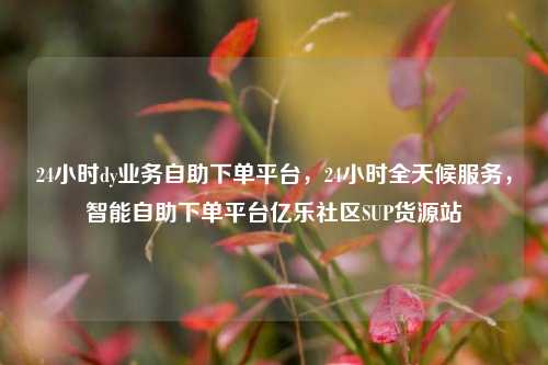 24小时dy业务自助下单平台	，24小时全天候服务，智能自助下单平台亿乐社区SUP货源站  第1张