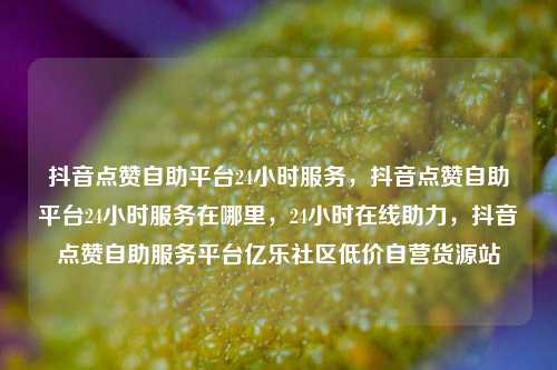 抖音点赞自助平台24小时服务，抖音点赞自助平台24小时服务在哪里，24小时在线助力	，抖音点赞自助服务平台亿乐社区低价自营货源站  第1张