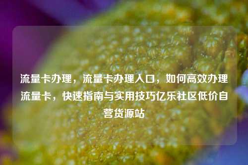 流量卡办理，流量卡办理入口	，如何高效办理流量卡，快速指南与实用技巧亿乐社区低价自营货源站  第1张