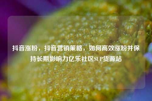 抖音涨粉，抖音营销策略，如何高效涨粉并保持长期影响力亿乐社区SUP货源站  第1张